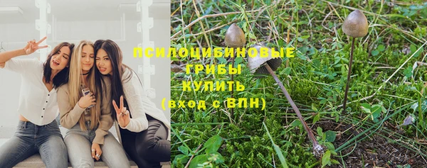 СК Абдулино