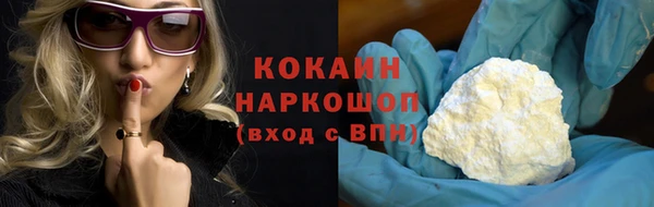 соль ск Алексин