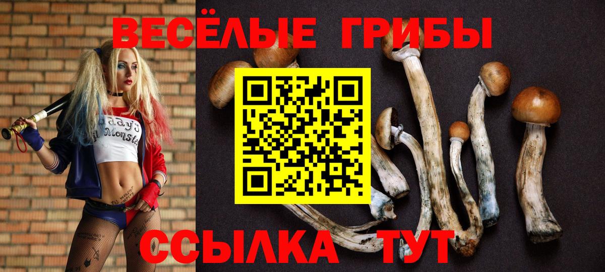 Псилоцибиновые грибы Magic Shrooms  Галлюциногенные грибы Psilocybine cubensis  Вход с VPN  Арсеньев 