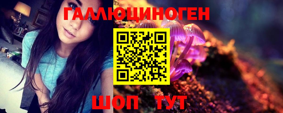 Галлюциногенные грибы GOLDEN TEACHER Арсеньев